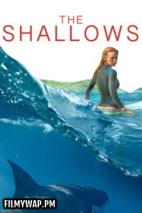 The Shallows (2016) Hollywood Hindi Dubbed